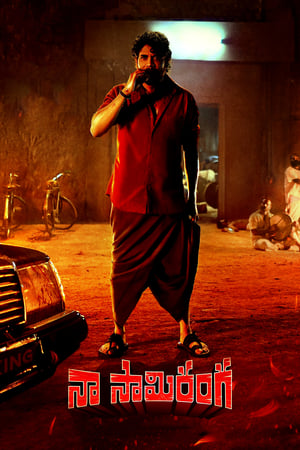 Naa Saami Ranga 2024 Hindi – – 1080p